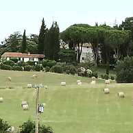 Ghiaccio Bosco Capalbio