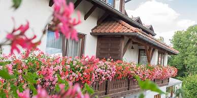 Pension Zum Ebenstein am Donausteig
