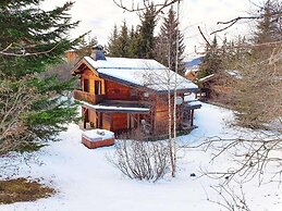 Chalet in La Tania Near Ski Slopes