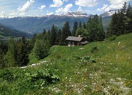 Chalet in Paradiski With Spa & Valley Views