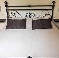 B&B Arena Alfieri