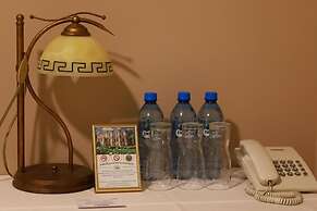 Pałac Biedrusko
