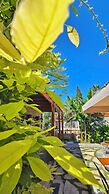 Feli Eski Datca Adult Only +9