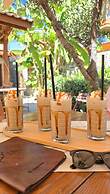 Feli Eski Datca Adult Only +9