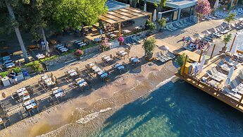 Orkide Bodrum
