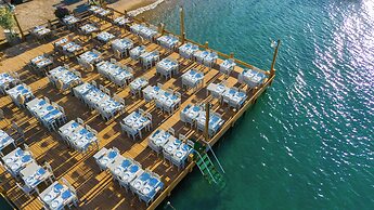 Orkide Bodrum