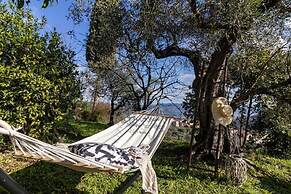 Castellara Green House-Colline di Lerici