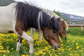 Fjelleventyret