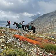 Fjelleventyret