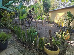 Finca verde