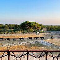 Masseria Tagliente
