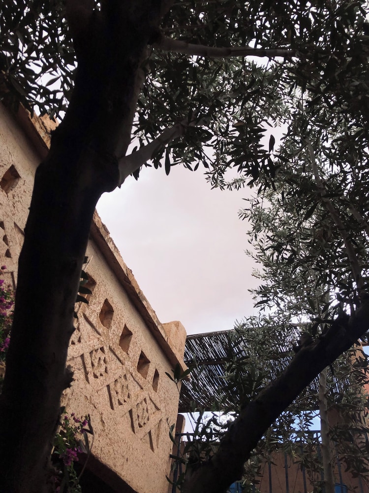 Kasbah berbère Ouriz