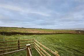 Host Stay Curlews Rest