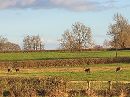 The Old Barn