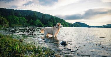 Another Place The Lake
