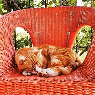 Giardini Hurz
