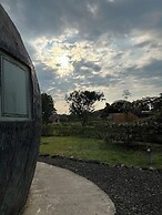 Animal Glamping