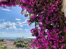 Fagr-masc01 in Agrustos