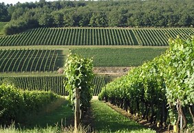 DOUCE NUITS