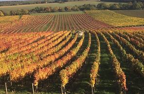 DOUCE NUITS