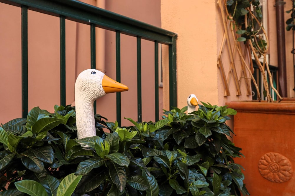 Colosseo Garden Lodge