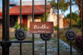 Bodhi