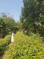 An Nhiên Farm dormitory with bunk beds