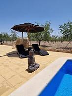 Oasis view