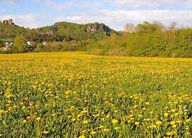 Bungalow in Eifel Near Forest and Mountains