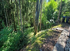 Bungalow im Eifelpark mit Terrasse
