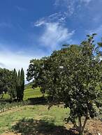 Podere Le Marene