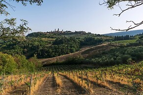 Mimosa in San Gimignano