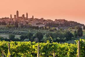 Mimosa in San Gimignano