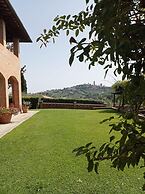 Mimosa in San Gimignano