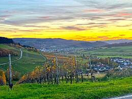 Holiday Home in Konz