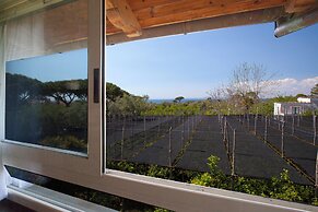 YourHome - Jolly Pini