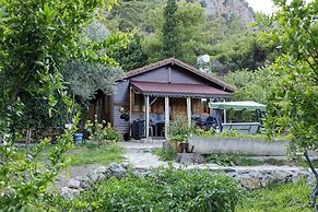 Holiday House Dilek Cirali