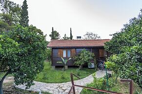Holiday House Dilek Cirali