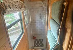 Riverside Shepherds Hut in Newtown Wales