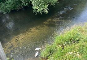 Riverside Shepherds Hut in Newtown Wales