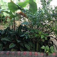 Turin Vue La Montagne Lodge