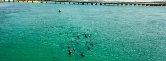 Forster and Wallis Lake Motel