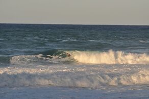 Yellow Bird Apartment