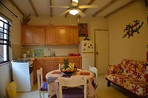 Yellow Bird Apartment