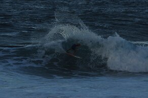 Yellow Bird Apartment