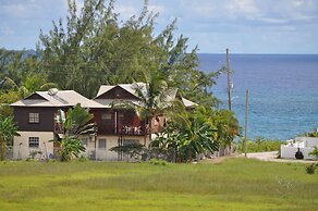 Yellow Bird Apartment