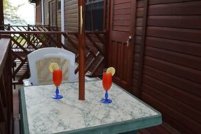 Yellow Bird Apartment
