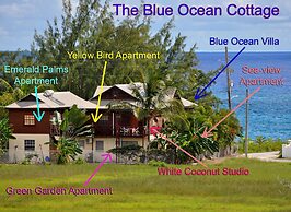 Yellow Bird Apartment