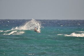 Yellow Bird Apartment