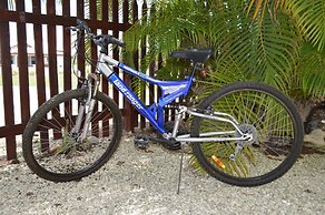 Yellow Bird Apartment